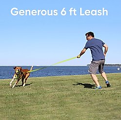Pawtitas Nylon Reflective Dog Leash, Teal, X-Small/Small: 6-ft long, 5/8-in wide slide 2 of 7