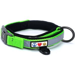 Pawtitas Soft Adjustable Reflective Padded Dog Collar, Green, X-Small: 9 to 11-in neck, 5/8-in wide
