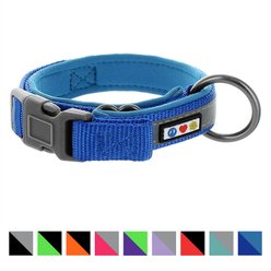 Pawtitas Soft Adjustable Reflective Padded Dog Collar, Blue, X-Small: 9 to 11-in neck, 5/8-in wide slide 1 of 5
