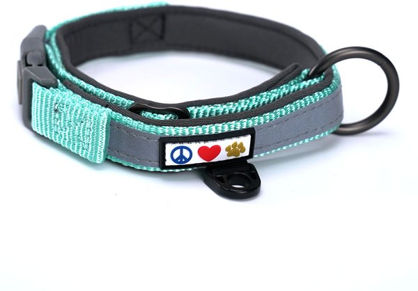 Pawtitas Soft Adjustable Reflective Padded Dog Collar, Teal, Small: 11 to 15-in neck, 5/8-in wide slide 1 of 7