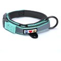 Pawtitas Soft Adjustable Reflective Padded Dog Collar, Teal, Medium/Large: 14 to 20-in neck, 3/4-in wide