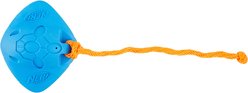 Nerf Dog Super Soaker Squeaker Tug Ray Dog Toy