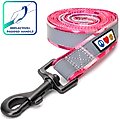 Pawtitas Camouflage Nylon Reflective Padded Dog Leash, Pink Camo, Medium/Large: 6-ft long, 1-in wide