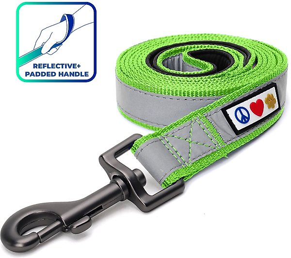Pawtitas Nylon Reflective Padded Dog Leash, Green, X-Small/Small: 6-ft long, 5/8-in wide slide 1 of 10
