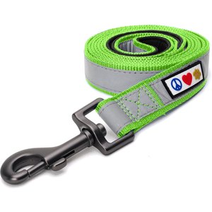 Pawtitas Nylon Reflective Padded Dog Leash, Green, X-Small/Small: 6-ft long, 5/8-in wide