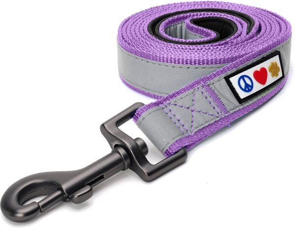 Pawtitas Nylon Reflective Padded Dog Leash, Purple Orchid, X-Small/Small: 6-ft long, 5/8-in wide slide 1 of 7