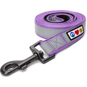Pawtitas Nylon Reflective Padded Dog Leash, Purple Orchid, X-Small/Small: 6-ft long, 5/8-in wide