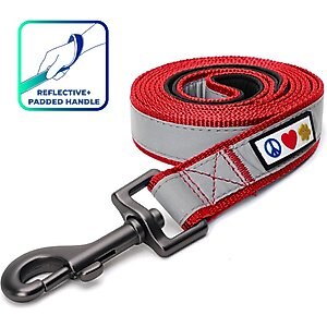 Pawtitas Nylon Reflective Padded Dog Leash, Red, X-Small/Small: 6-ft long, 5/8-in wide