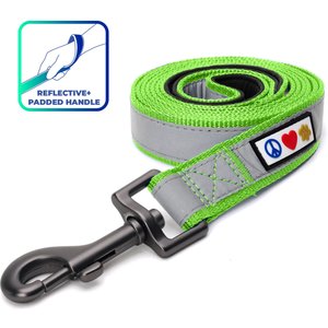 Pawtitas Nylon Reflective Padded Dog Leash, Green, Medium/Large: 6-ft long, 1-in wide