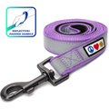Pawtitas Nylon Reflective Padded Dog Leash, Purple Orchid, Medium/Large: 6-ft long, 1-in wide