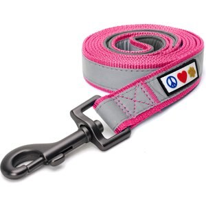 Pawtitas Nylon Reflective Padded Dog Leash, Pink, Medium/Large: 6-ft long, 1-in wide