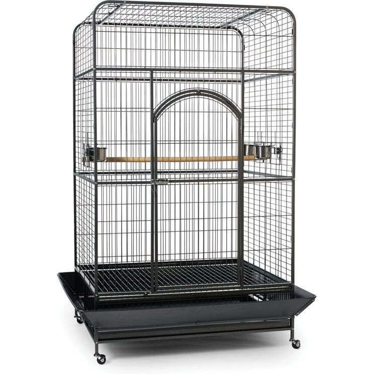 Parrot Cages | Large Bird Cages Tailored to Parrots - Chewy