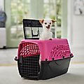 Frisco Two Door Top Load Plastic Dog & Cat Kennel, Pink, 24-in