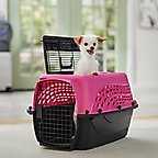 Frisco Two Door Top Load Plastic Dog & Cat Kennel, Pink, 24-in