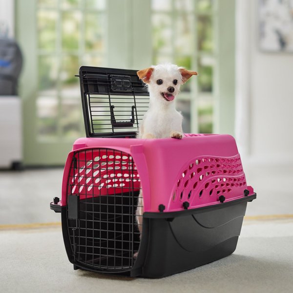 FRISCO Two Door Top Load Plastic Dog & Cat Kennel, Pink, 24in