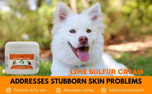 Healthy Paw Life Lime Sulfur Cream Itchy & Dry Skin Veterinary Treatment for Dogs & Cats