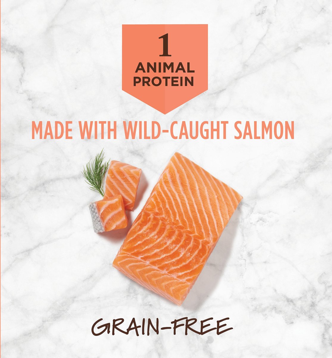 Instinct limited ingredient outlet salmon dog food