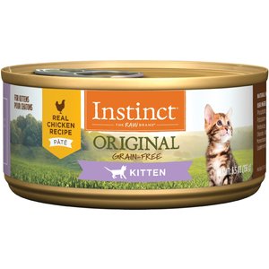 5 months kitten food