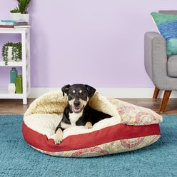 Snoozer Pet Products indoor/Outdoor Cozy Cave Cat & Dog Bed with Removable Cover, Delancy, Large