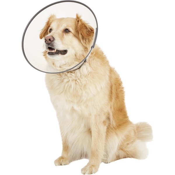 SUNGROW PostSurgery Soft Cone Dog & Cat Recovery Collar, Pink, Medium