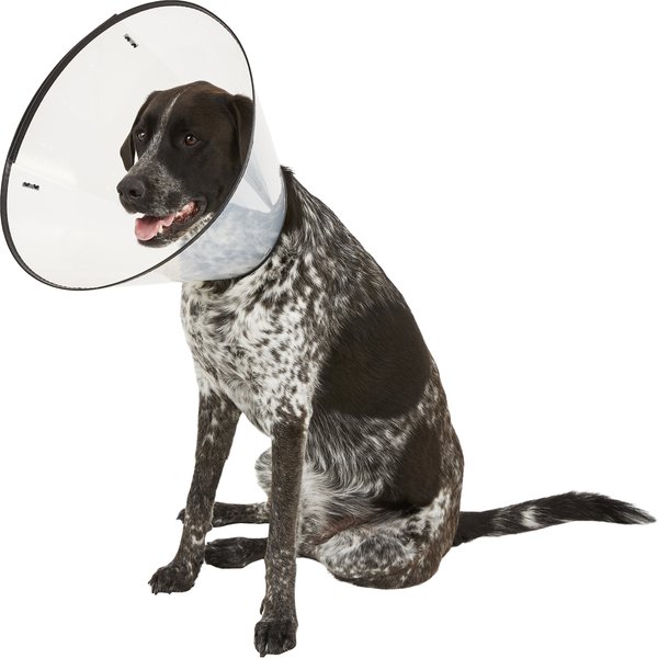 Dogswell Remedy+Recovery Dog E-Collar, XX-Large slide 1 of 5