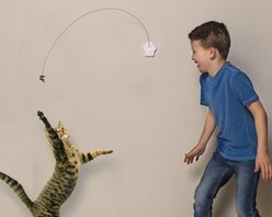 Cat Dancer Deluxe Cat Toy slide 2 of 5