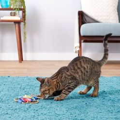 Cat Dancer Chasers Variety Pack Cat Toys, 6 count slide 2 of 4
