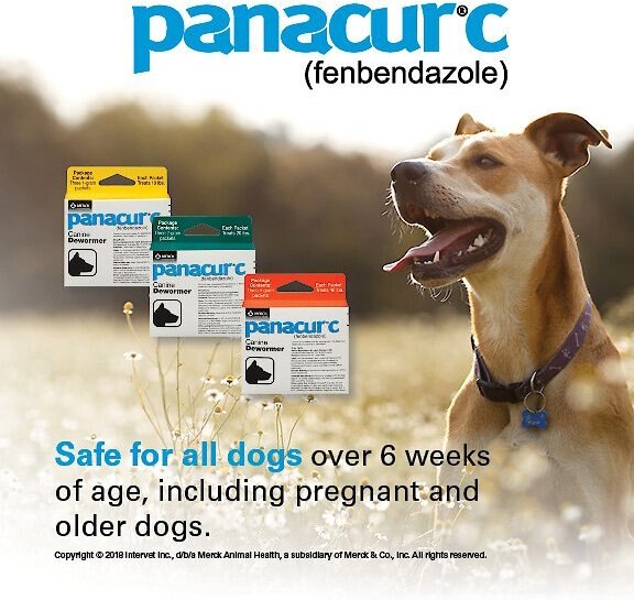 PANACUR C Canine Dewormer, 1g, 3 count