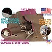 snugglycat ripple rug cat activity play mat