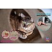 snugglycat ripple rug cat activity play mat