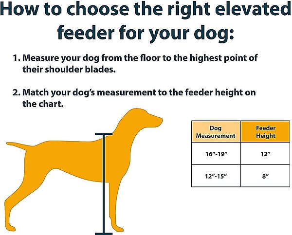 Show full view: OurPets Comfort Elevated Dog & Cat Feeder, Beige/Gray, 5.5-cup slide 3 of 5