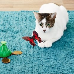 Pet Zone Fly By Replacement Butterfly Cat Toy slide 2 of 5