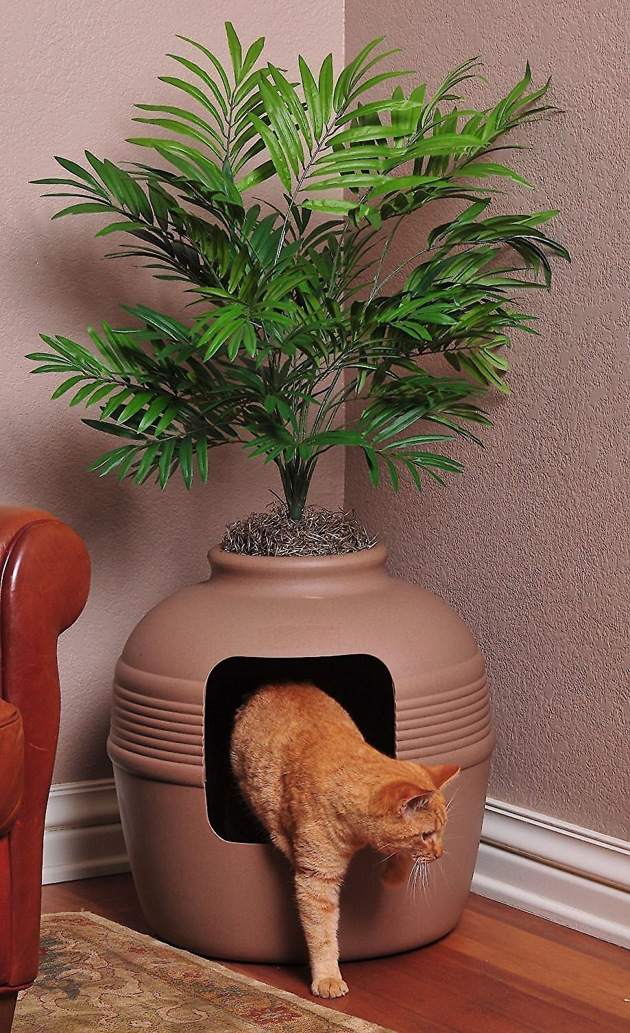 Plant litter box for cats best sale