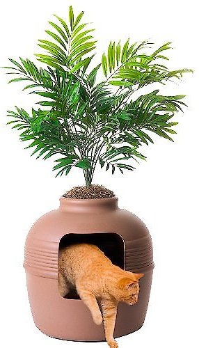 Chewy plant shop litter box