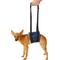 Show in main carousel: Walkin Pets Dog Support Sling, Small slide 1 of 10