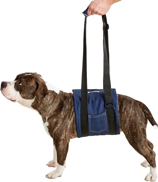 Handicappedpets dog 2024 support sling