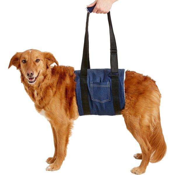 PETSAFE CareLift Rear Handicapped Support Dog Harness, Large