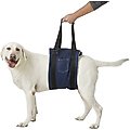 Walkin' Pets Dog Support Sling, X-Large