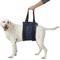 Show in main carousel: Walkin Pets Dog Support Sling, X-Large slide 1 of 10