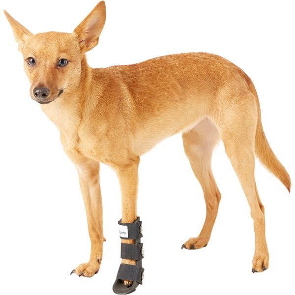 HANDICAPPEDPETS Carpal Style Front Leg Dog Splint, Small
