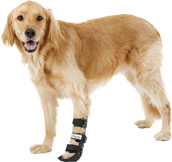 HandicappedPets Front Leg Dog & Cat Splint, Large slide 1 of 8