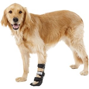 Walkin' Pets Front Leg Dog & Cat Splint, Large