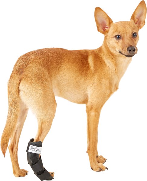 WALKIN' PETS Rear Leg Dog & Cat Splint, XX-Small 