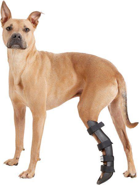 HandicappedPets Rear Leg Dog & Cat Splint, Large slide 1 of 7