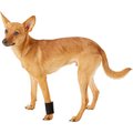 HandicappedPets Dog Wrist Wrap, Small