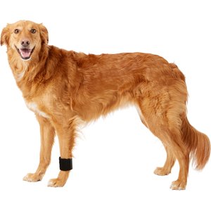 Walkin' Pets Dog Wrist Wrap, Medium