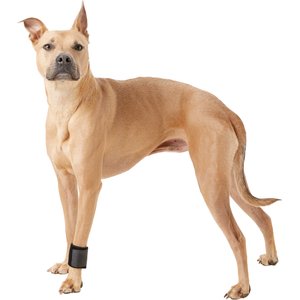 Walkin' Pets Dog Wrist Wrap, Large