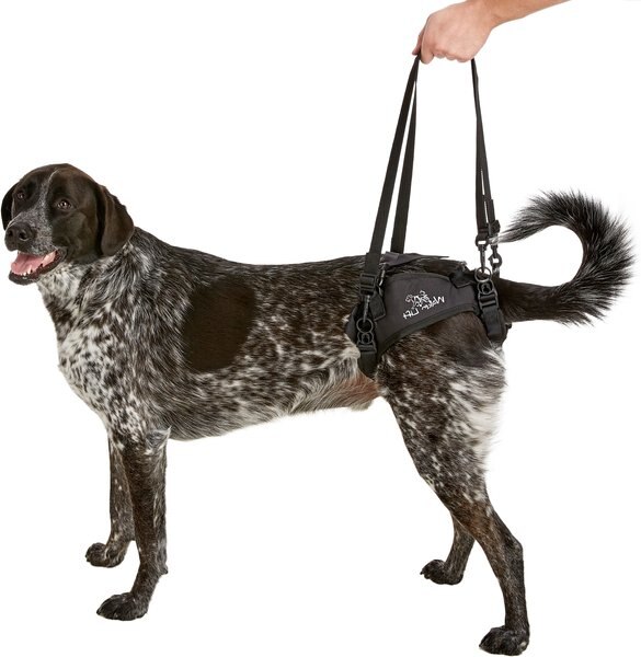 Discontinued - Walkin' Pets Rear Lift Dog Harness, X-Large - Chewy.com