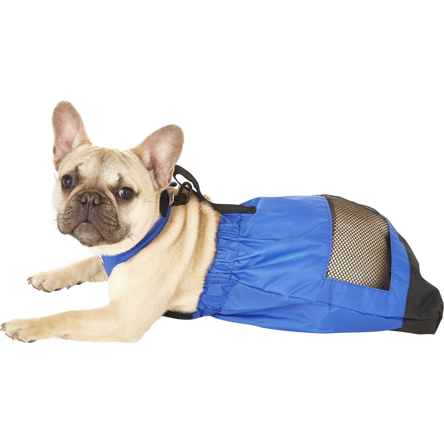 Drag Bag for Dogs - Protect-A-Pet For Paralyzed Pets - K9 Carts