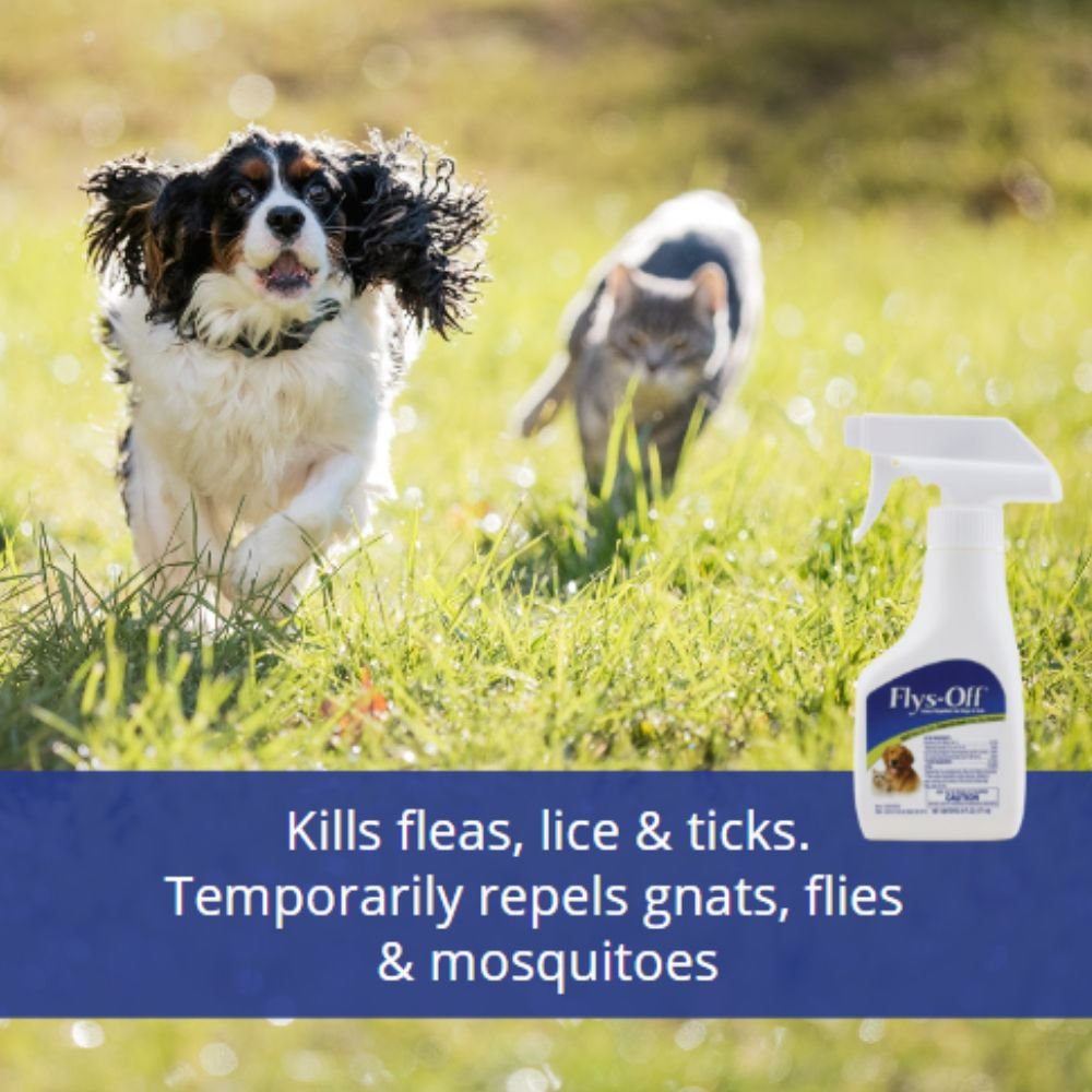 Dog safe outlet fly repellent